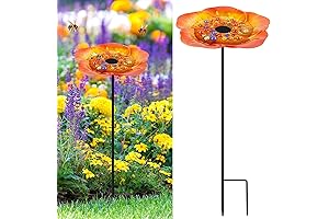 Bee's Watering Oasis: A Hydrating Haven for Busy Bees