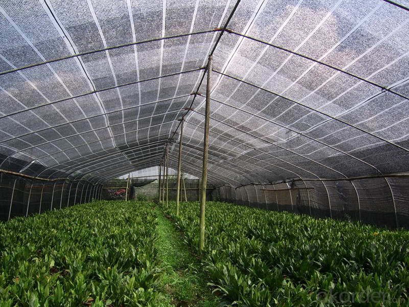 3 x 3 m, odporna na promieniowanie UV, czarna siatka przeciwsłoneczna z przelotkami, idealna do hodowli roślin szklarniowych, stodoły, ochrony roślin na zewnątrz, trwała siatka przeciwsłoneczna