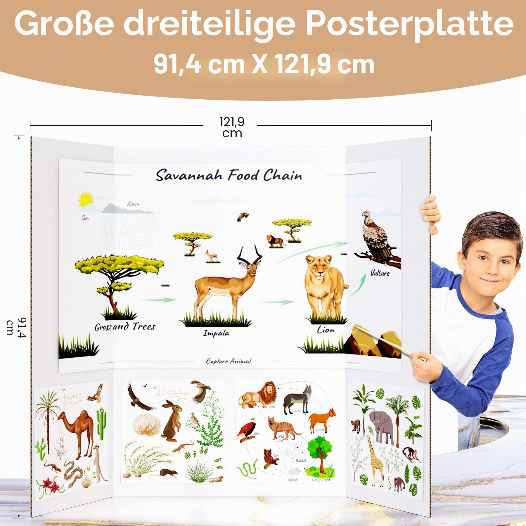 HAUTOCO Dreifach gefaltete Postertafeln, 91,4 x 121,9 cm, 4 Stück, groß, dreifach gefaltet, weiß, gewellter Präsentationskarton für Wissenschaftsmessen, Schulprojekte, Veranstaltungen, Geschäfte