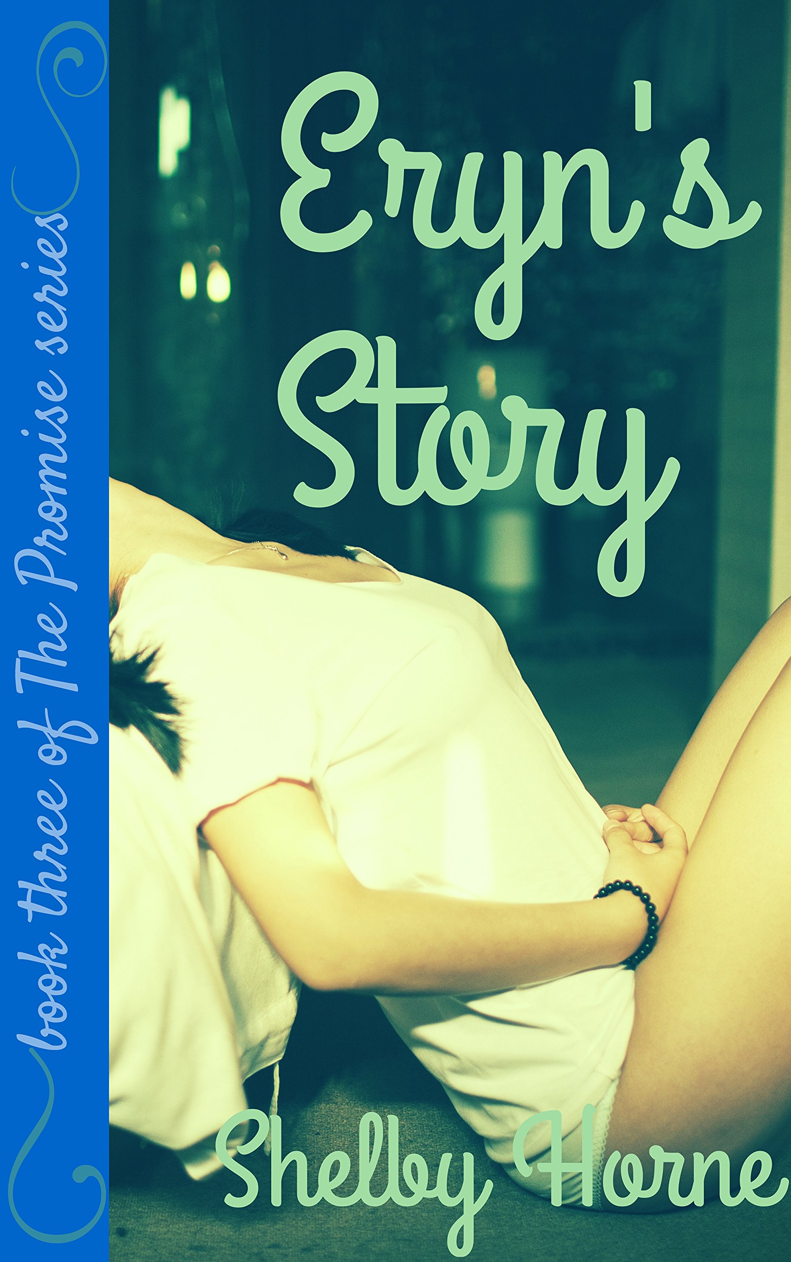 Eryn's Story (The Promise Book 3)