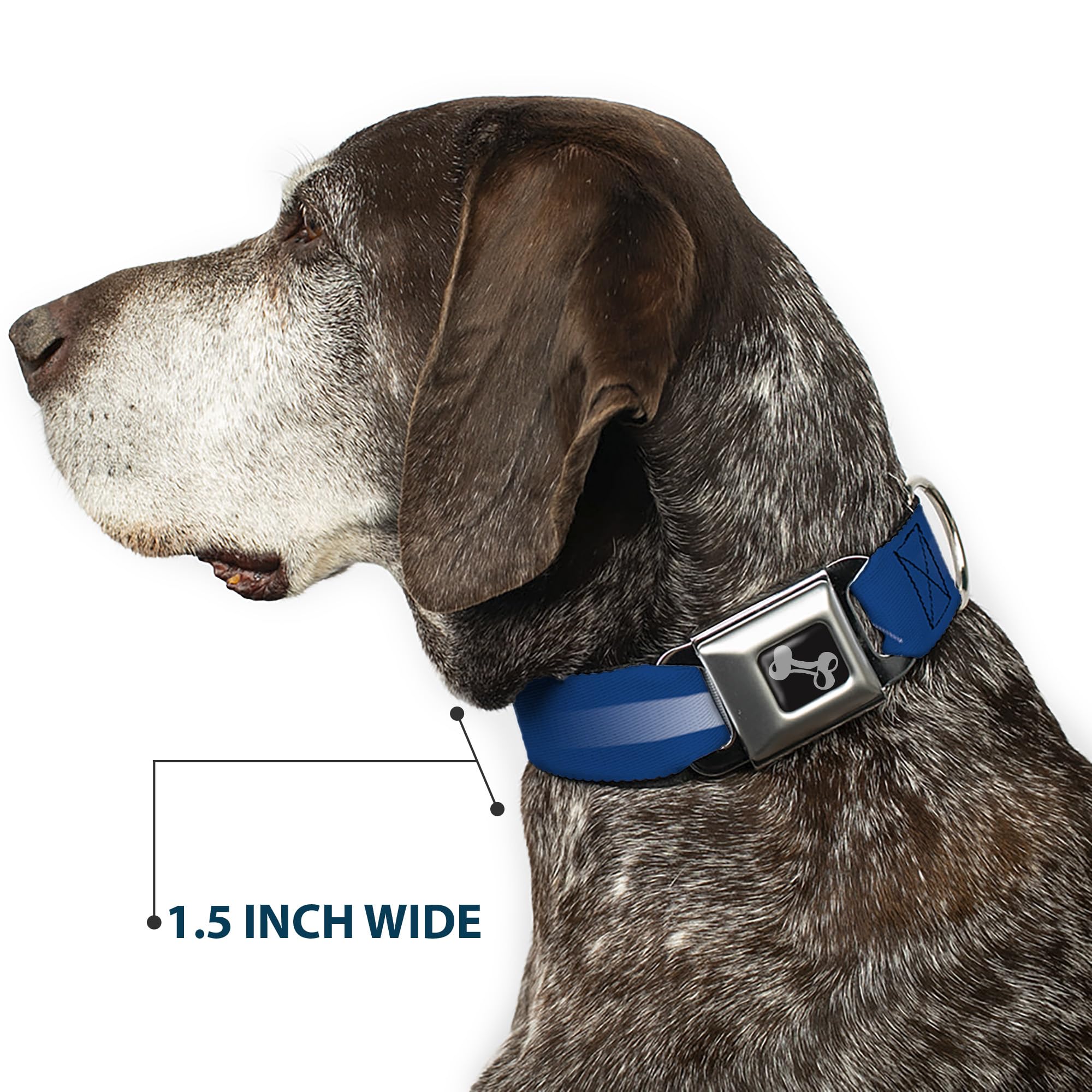 Buckle-Down DC-W35511-WM - Cinturón de Seguridad para Perro, Talla M, Color Azul, Blanco, Rojo y Amarillo