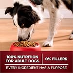 Purina ONE True Instinct Dry Dog Food, Chicken & Duck - 6 kg Bag (1 Pack)