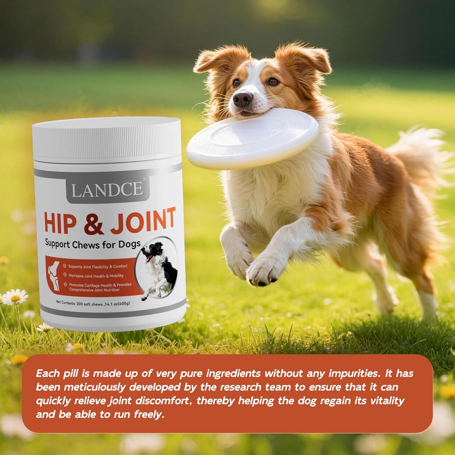 LANDCE Dog Hip and Joint Supplement, 200ct Glucosamine Chondroitin for Dogs with MSM, Green Lipped Mussel & Collagen Advanced Joint Pain Relief & Arthritis Support Senior Dog Joint Chews, All Breeds