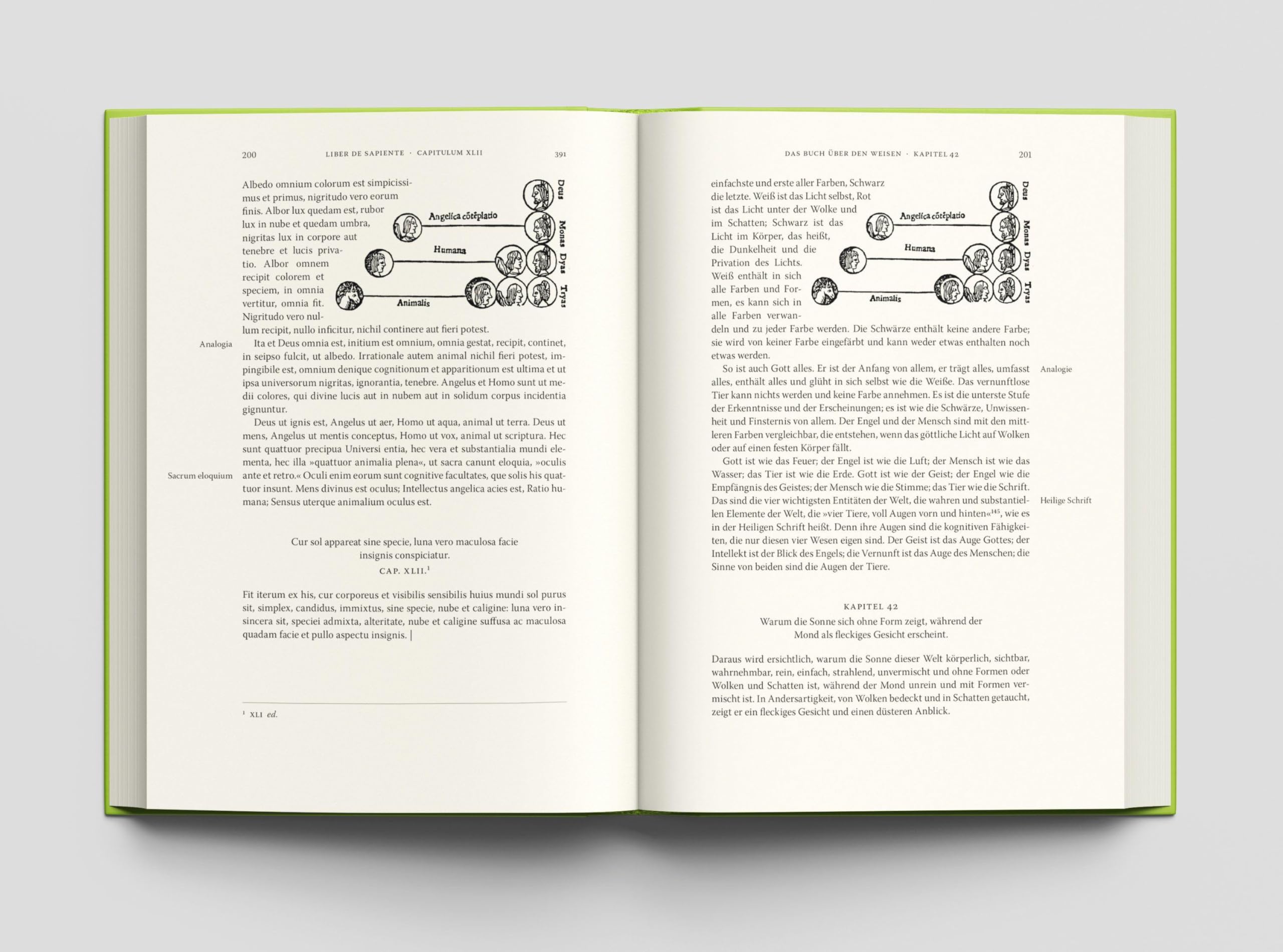 Das Buch über den Weisen: Lateinisch-Deutsch (Philosophische Bibliothek)