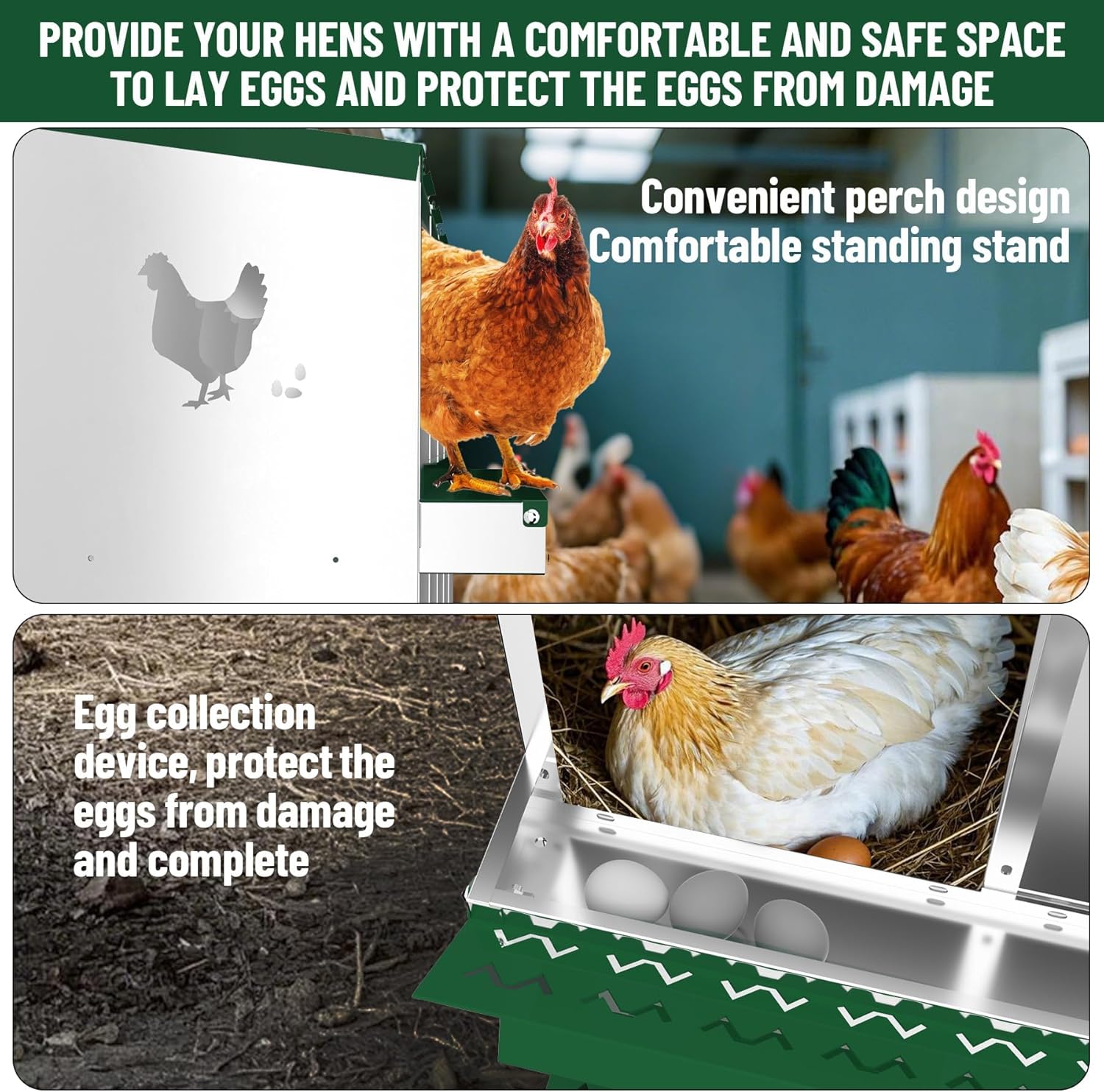 10-Compartment Metal Chicken Nesting Box - with Perch, Secure Lid & Metal Legs, Wall-Mount or Free-Standing Nesting Boxes for Hens
