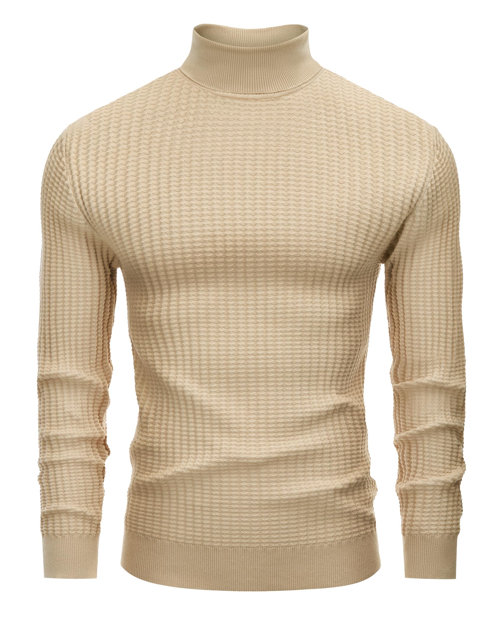 Lion Nardo Men's Turtleneck Sweater Slim Fit Turtle Neck Sweater for Men Long Sleeve Pullover Sweater Thermal Sweater