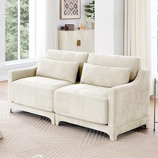 73" Living Room Large Modular Sectional Sofa, Convertible 2-Seat Sofa Couch with Disassembly Cleaning Pillow Pillows Cloud Couches Loveseat Comfy Chenille Sofa Sleeper (Beige, 2 Seat)