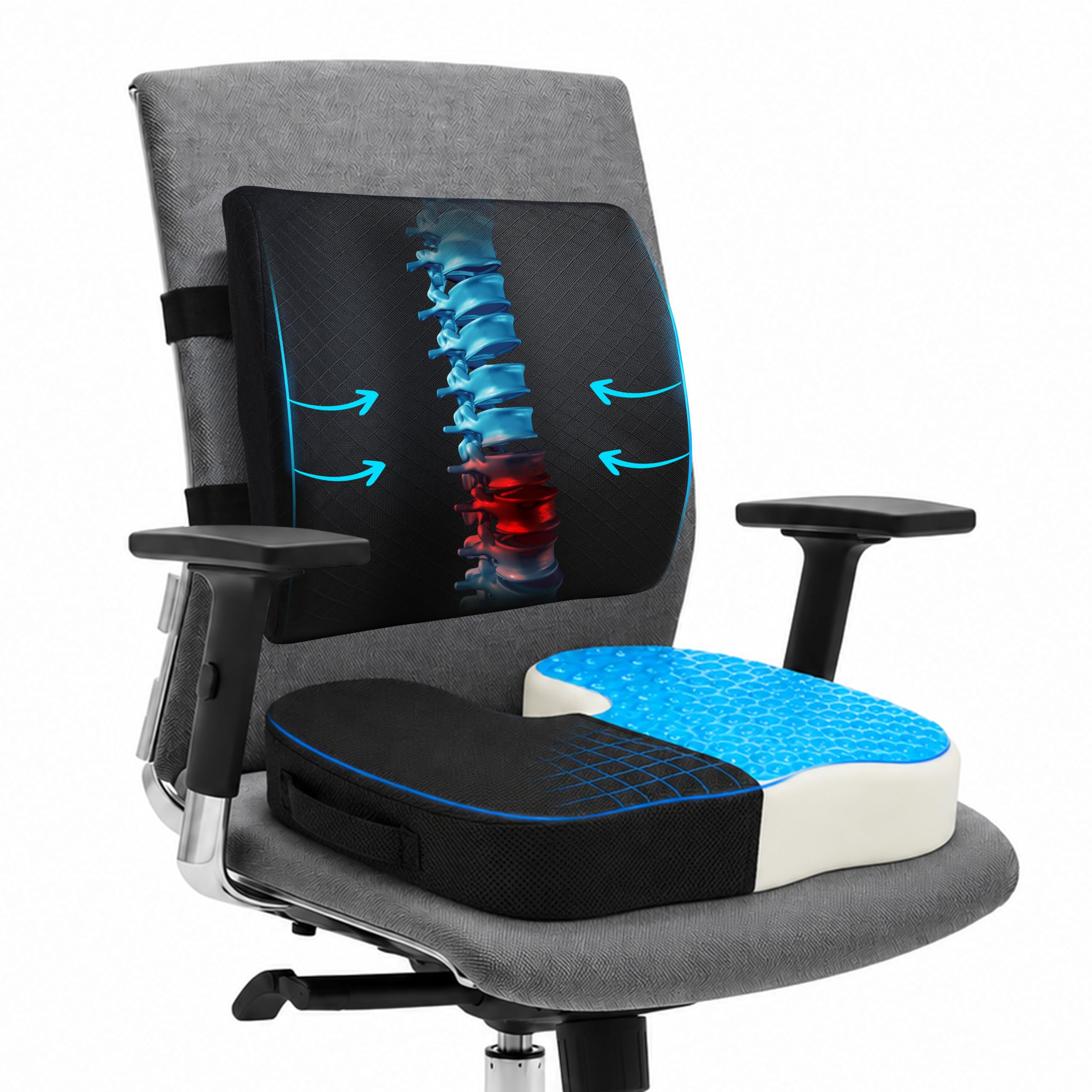 EcoNour Lumbar Support Pillow & Seat Cushion Back Support for