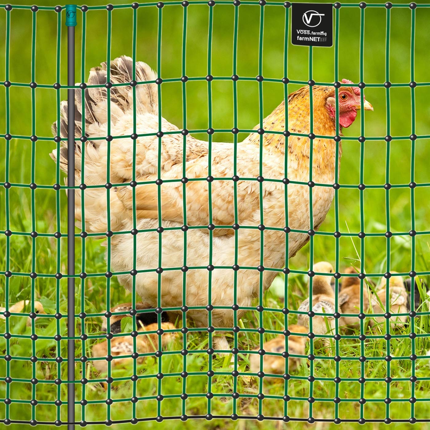 VOSS.farming Filet farmNET pour volailles/Poules, Longueur 50 m, Hauteur 112 cm, 16 piquets, 2 Pointes, Coloris Vert, Non électrifiable