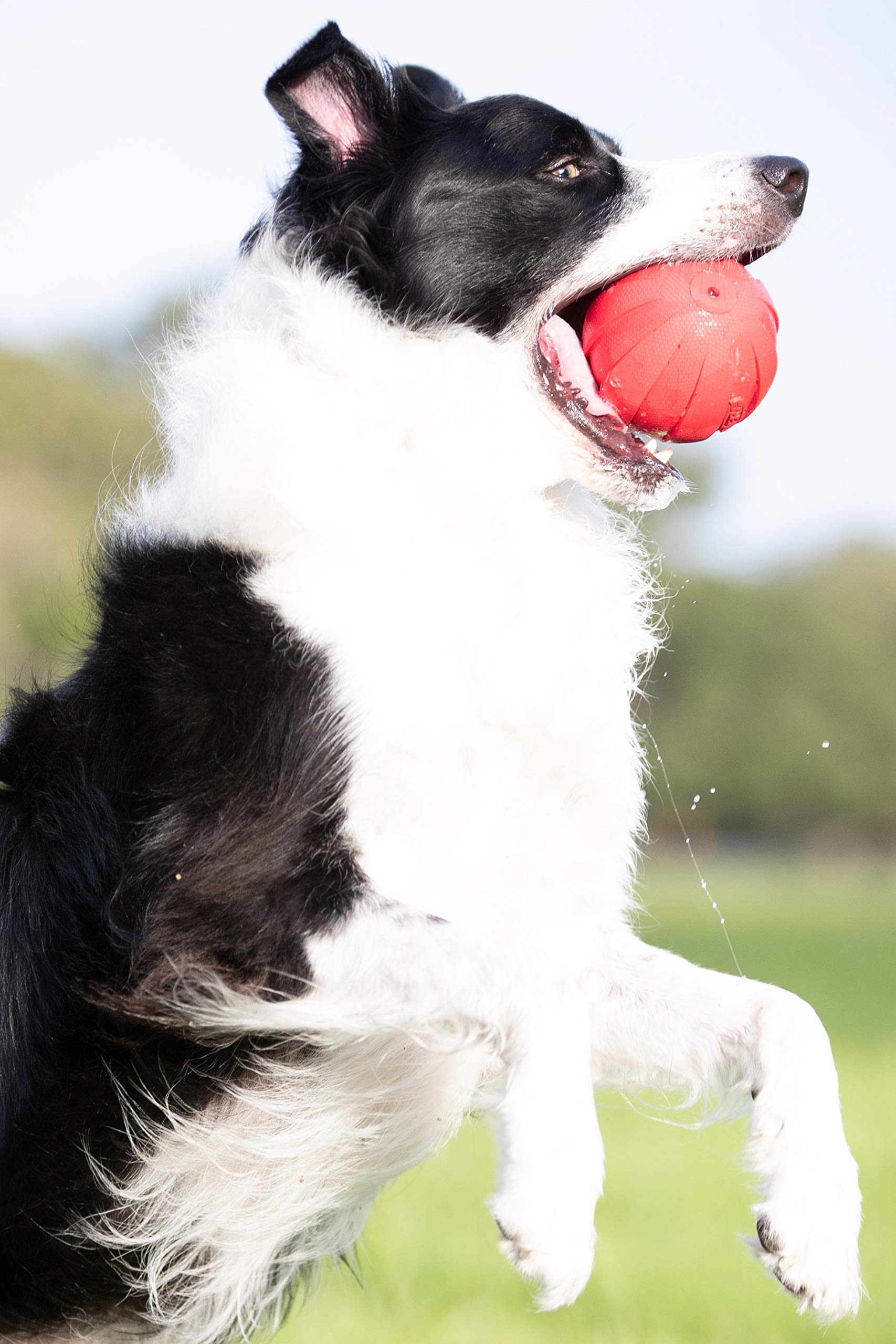 NERF Dog Gummiball Hundespielzeug mit interaktivem Quietscher, leicht, langlebig und wasserabweisend, 10,2 cm Durchmesser für mittelgroße/große Rassen, Einzeleinheit, Rot