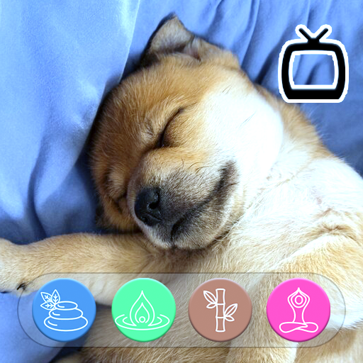 Tiefschlafmusik für Hunde Bildschirmschoner
