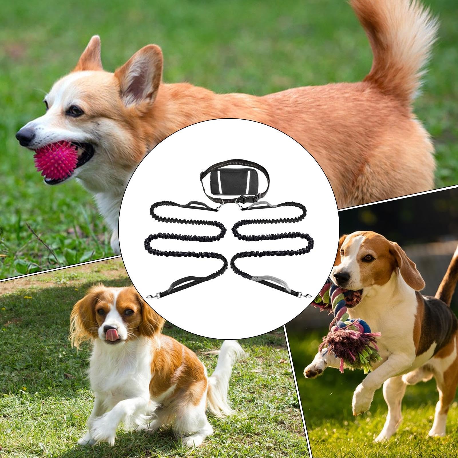 Guinzaglio Con Corda Cani Corda Da Cani Regolabile E Riflettente | Guinzaglio Da Passeggio Con Ideale Per Corsa, Escursionismo, Campeggio, Ciclismo, Attività All'Aperto, Città E Viaggi