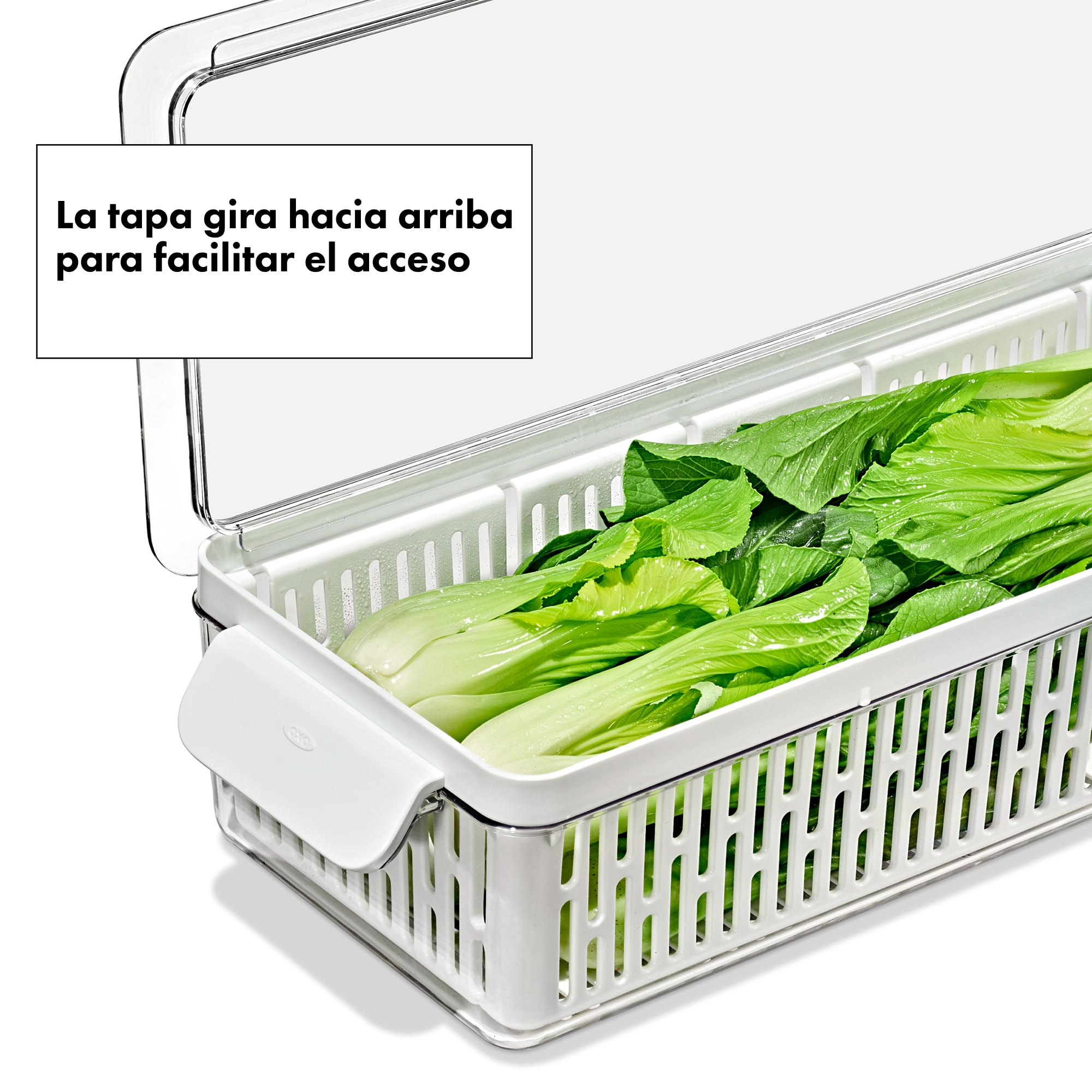 Contenedor Hermetico Conservador De Hierbas Y Aliños Frescas | Cuotas Sin Interés
