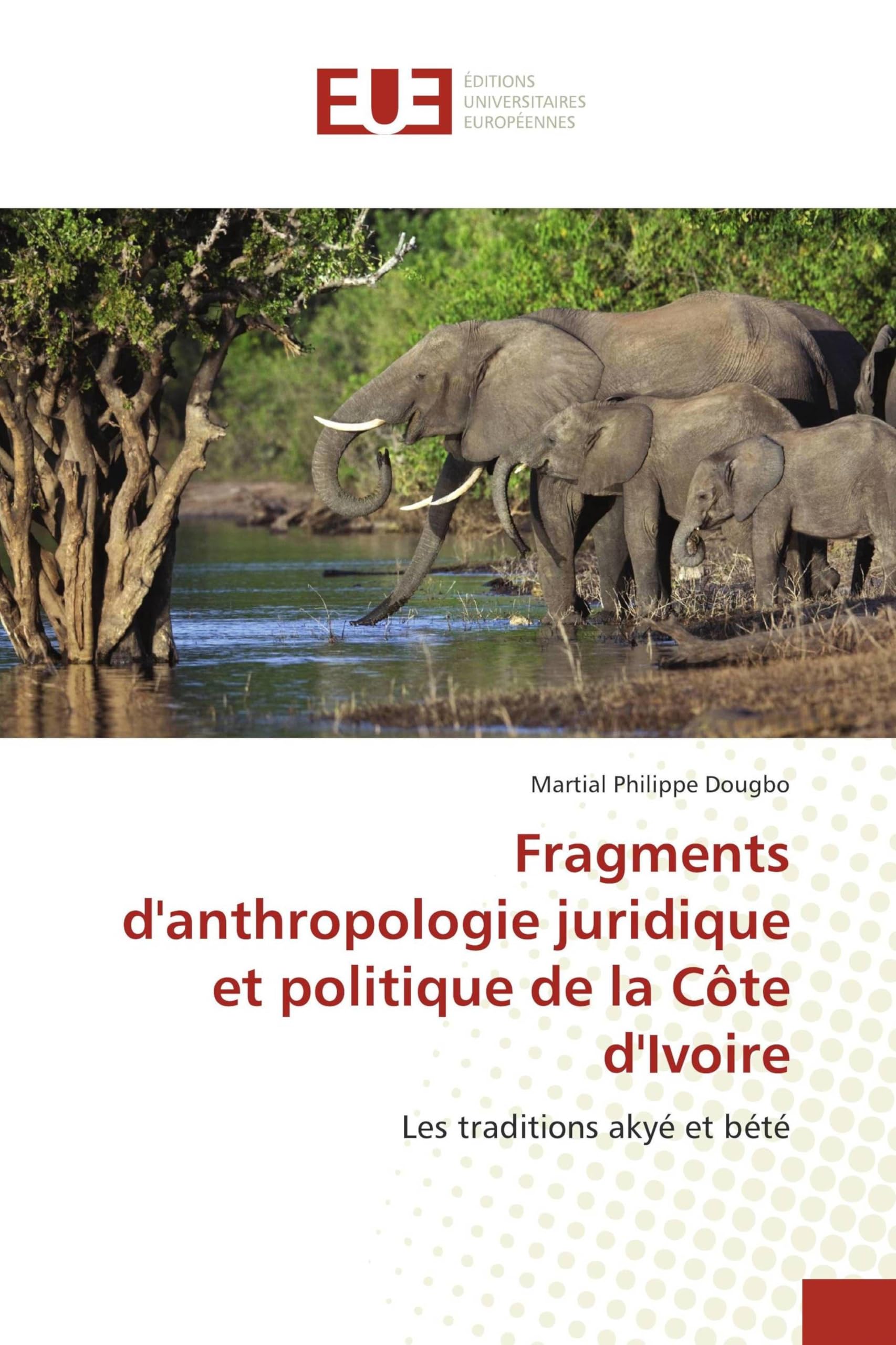 Fragments d'anthropologie juridique et politique de la Côte d'Ivoire: Les traditions akyé et bété