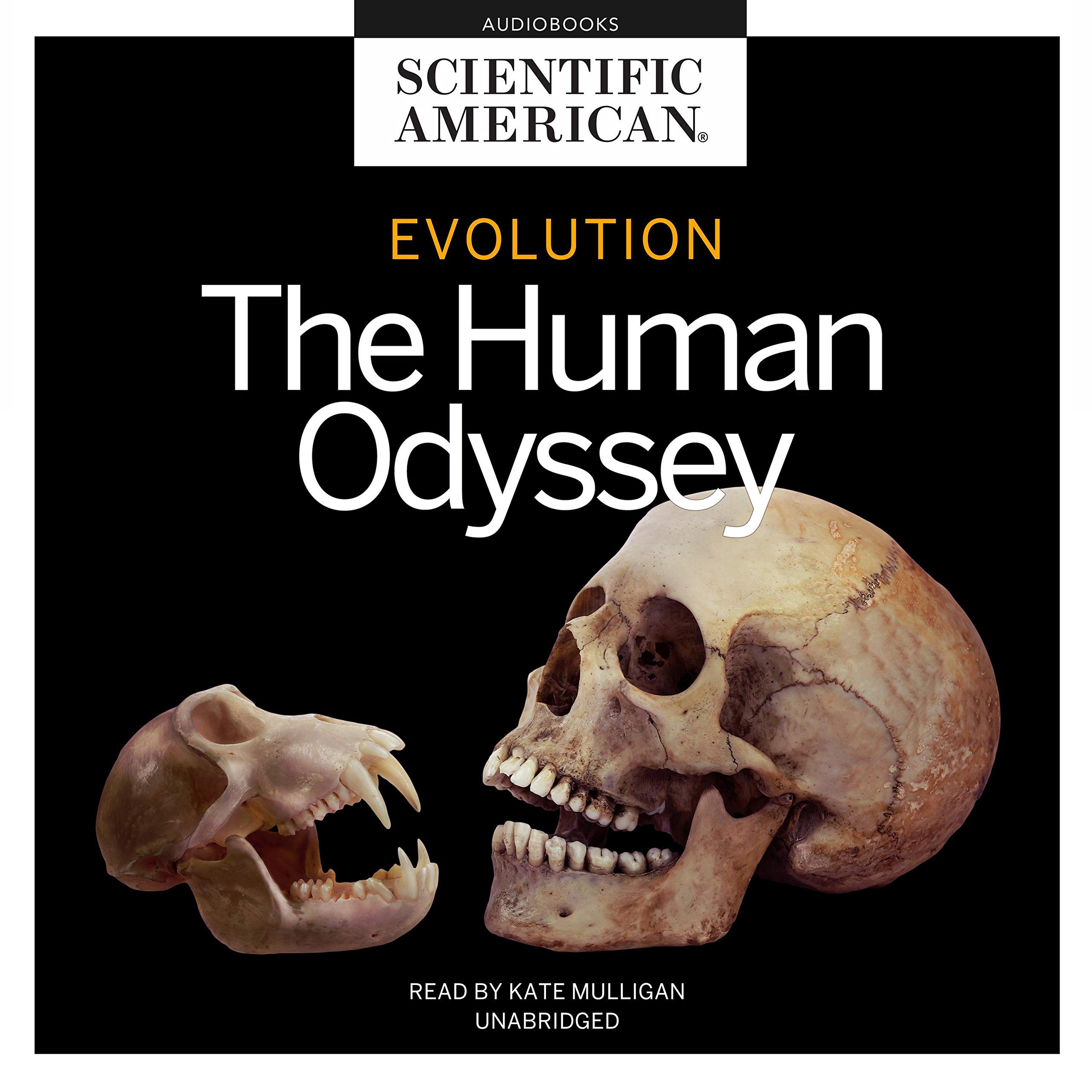 Cover art for Evolution
