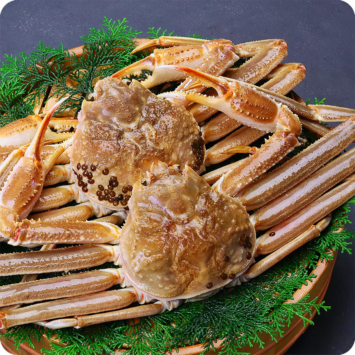 甲羅組 ズワイガニ カニ かに 蟹 特大サイズ 生ずわいがに姿 ギフト 母の日