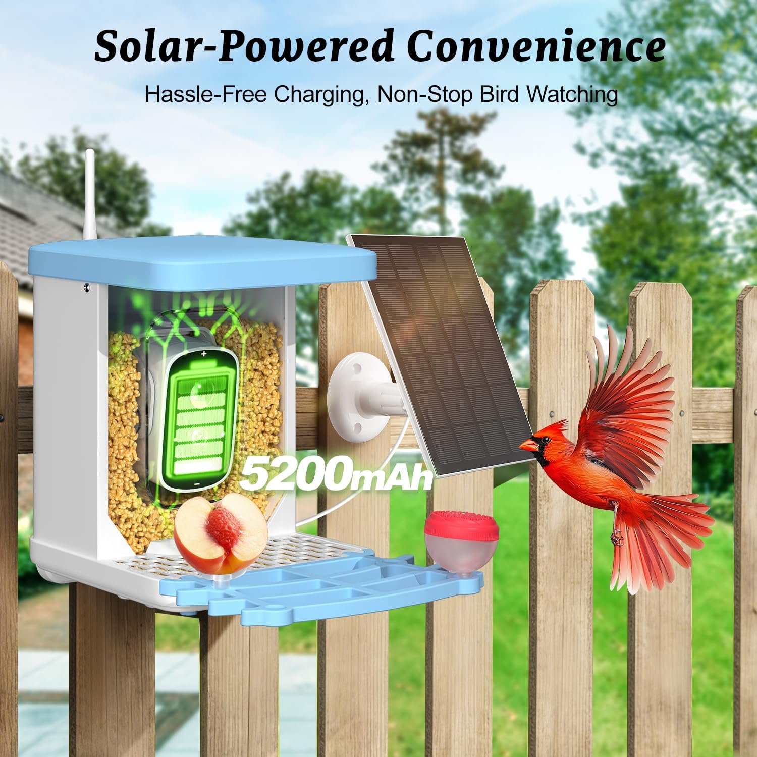 Smart Bird Feeder with Camera - 2.5K HD Bird Feeder Cameras Solar Powered, AI Birds Identification via App WiFi Outdoor Waterproof Birdhouse Watch Night Vision, 4000mAh Battery, Gift for Birdlovers