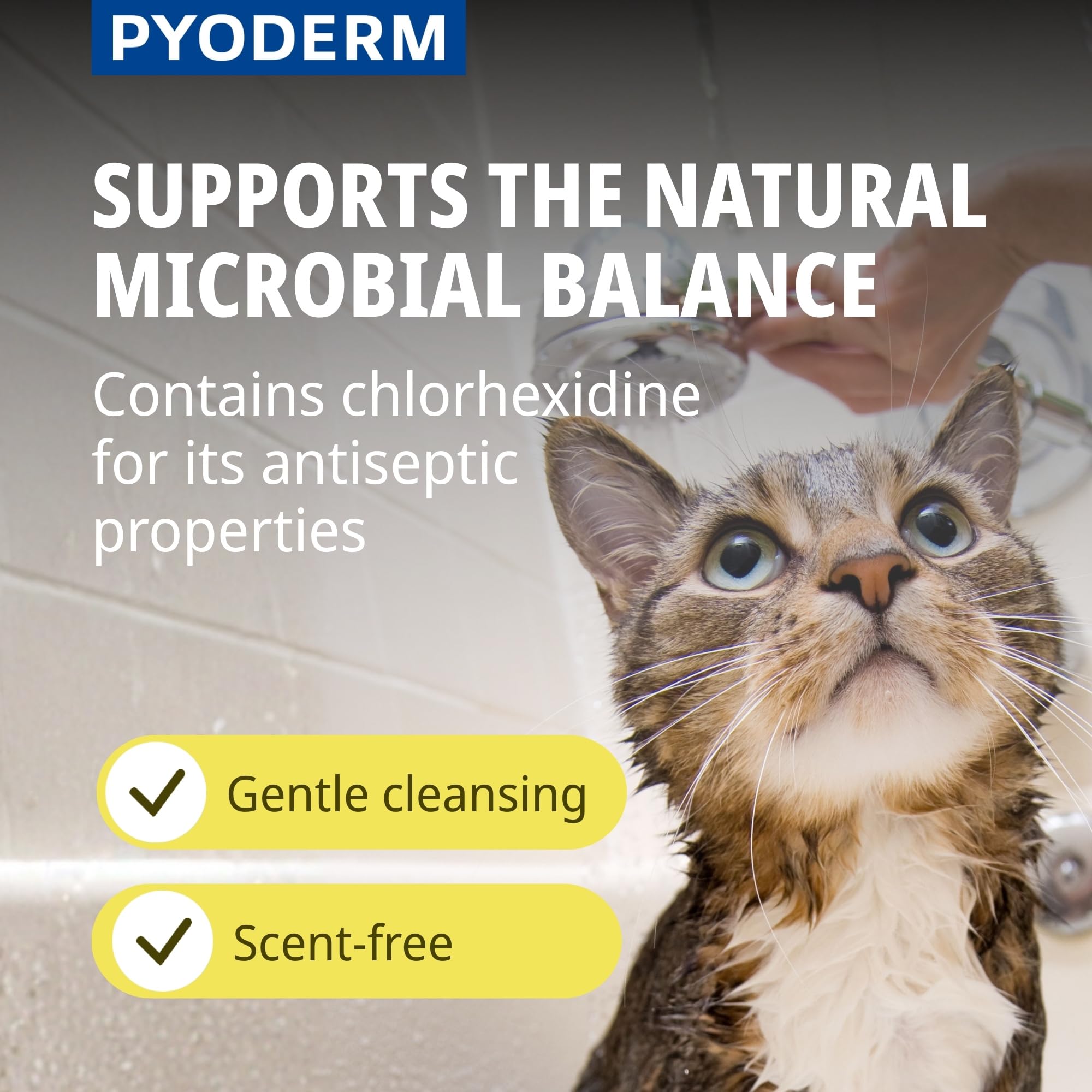 Pyoderm Champú Dermatológico 250ML para Pieles con Desequilibrio Microbiano para Perros Y Gatos