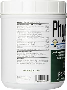 120 Count Joint Support Soft Chew for Dogs 2 Pack (240 مضغ)
