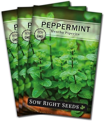 Miniatura 9 de Sow Right Seeds - Semillas de menta para plantar - Semillas de reliquia sin OMG - Instrucciones completas para plantar y cultivar fácilmente un