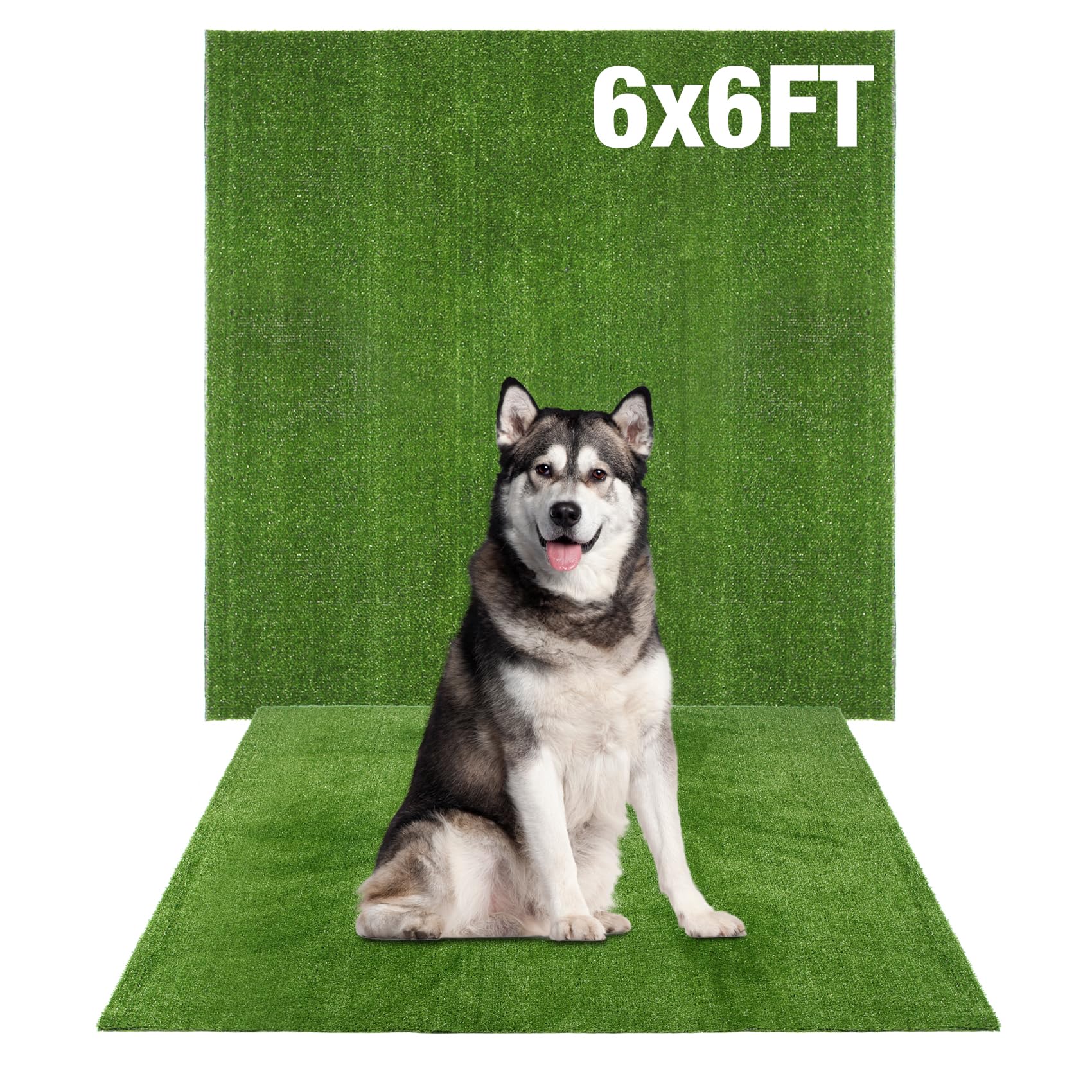 GLOBREEN Extra Large Dog Grass Rug