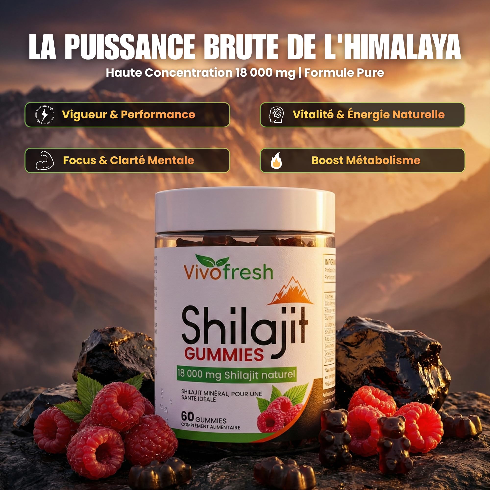 Shilajit Pur Himalaya 18000mg | 60 Gummies Haute Dose | Énergie Performance Vigueur | Boost Métabolisme | Format 1 Mois | Complément Alimentaire Naturel