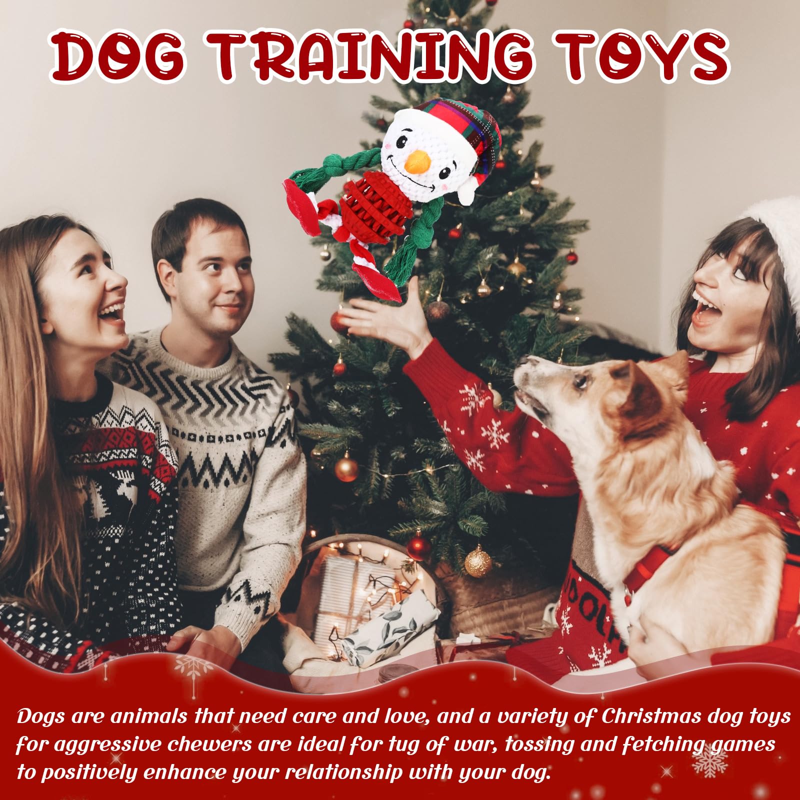 Abbylike Kauspielzeug für Hunde, waschbar, buntes Baumwollseil, für Welpen, interaktives Spielzeug, Seilspielzeug für Haustiere, kleine, mittelgroße Hunde (weißer Schneemann), 11 Stück