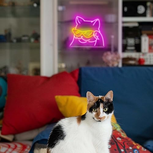 Miniatura 6 de Letrero de neón de gato genial para decoración de pared, gato sonriente con gafas, letrero de luz LED de neón alimentado por USB con interruptor