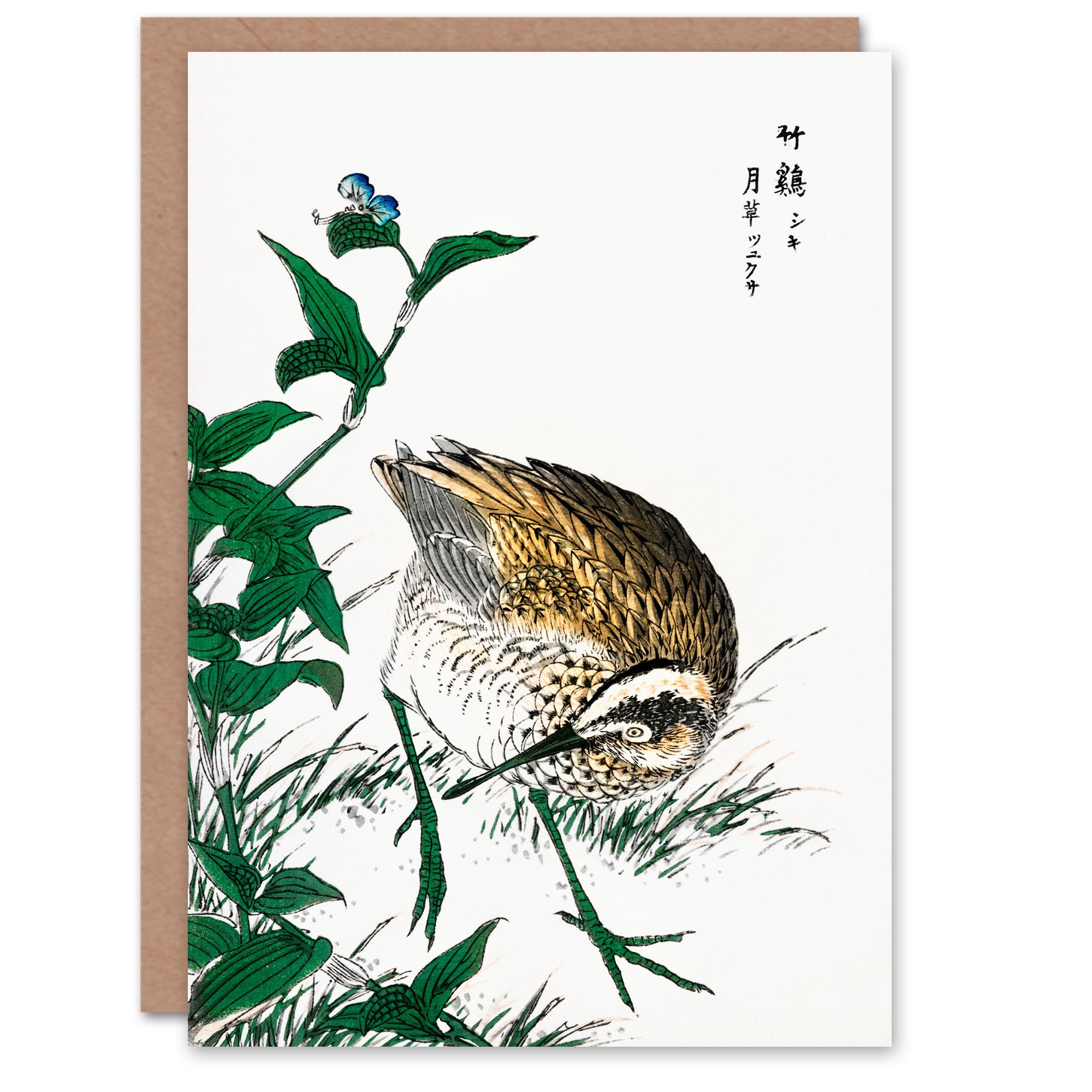 Artery8 Numata Kashu Art Card Greenshank and Bupleurum Japanese