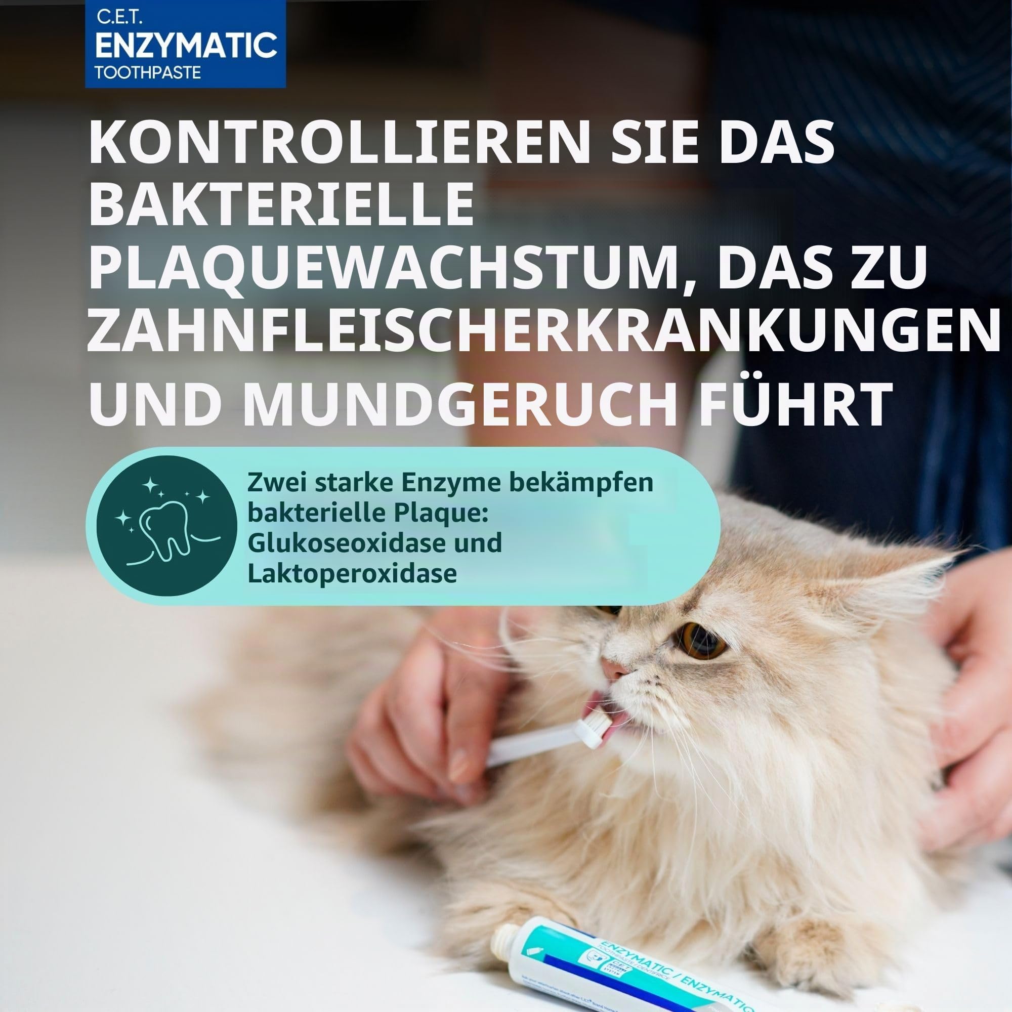 Virbac C.E.T. Mundhygiene-Set für Katzen und Hunde, 3-teiliges Set mit doppelseitiger Zahnbürste, Fingerbürste und Geflügelgeschmack, 75 ml Tube Zahnpasta, entfernt Plaque und Zahnstein