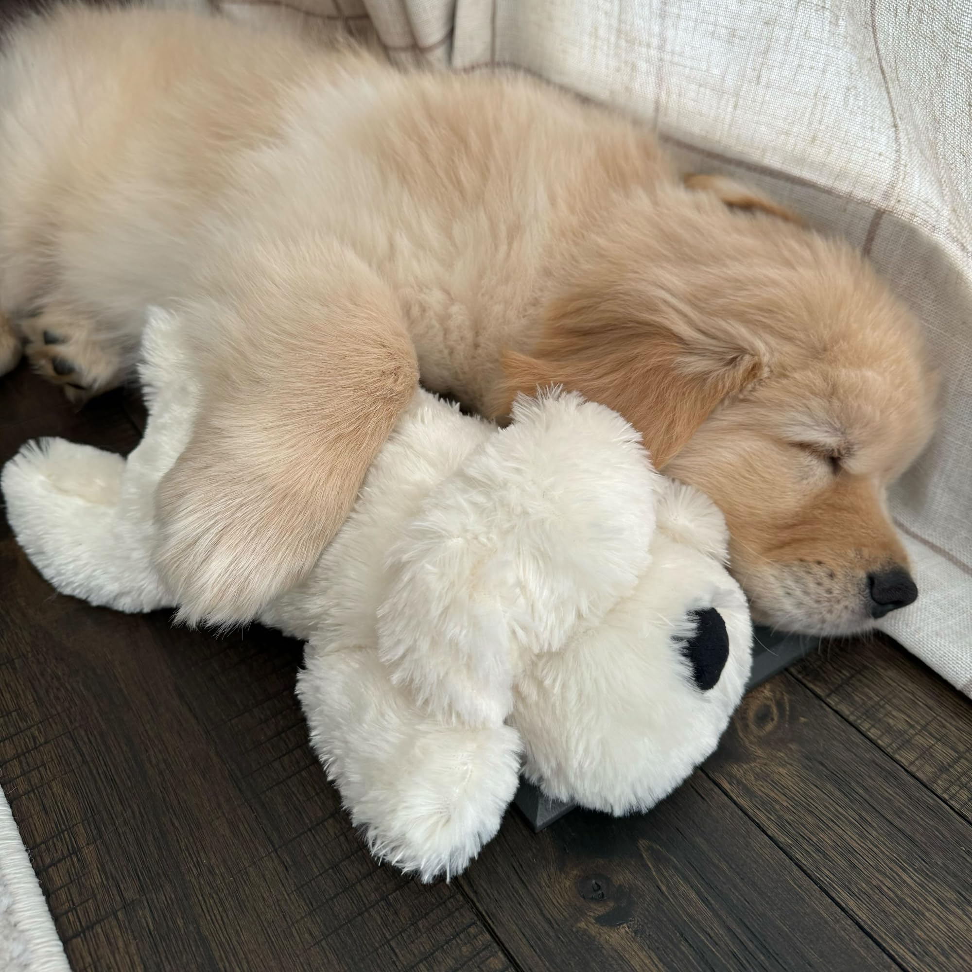 Snuggle Puppy Original Junior Dog Toys - Image 3