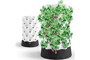 Hydroponics Growing System - The Risk it Takes to Bloom Indoors