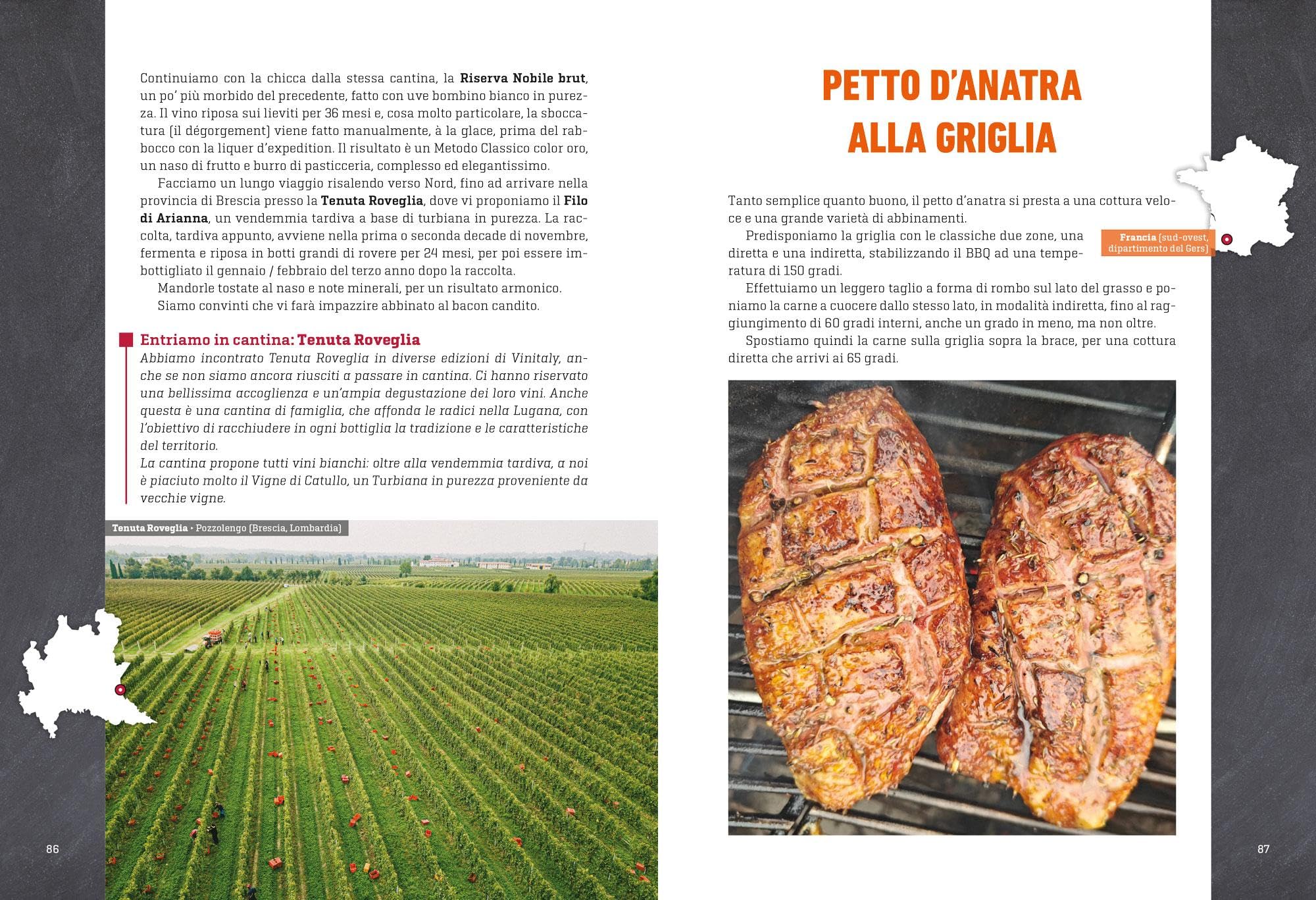 Grigliare diVino. Vino, cibo, emozioni