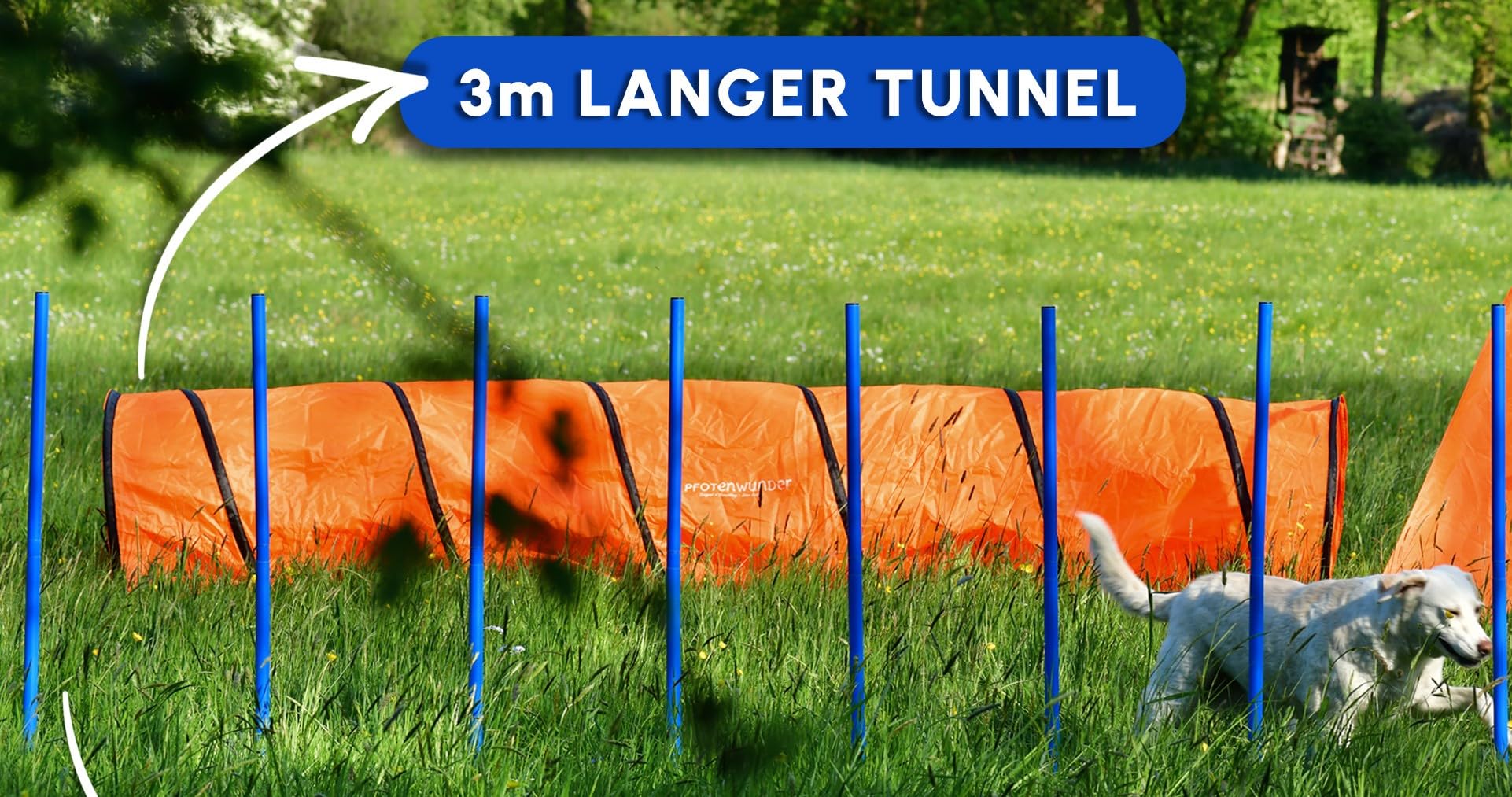 PfotenWunder® Tunnel d'agilité professionnel 3 m XXL pour chiens