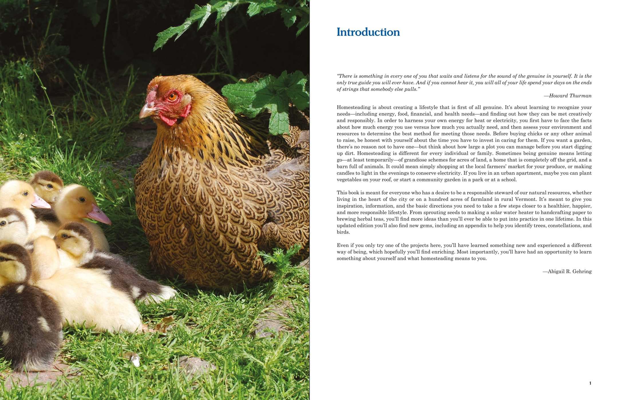 Homesteading: A Backyard Guide to Growing Your Own Food, Canning, Keeping Chickens, Generating Your Own Energy, Crafting, Herbal Medicine, and More