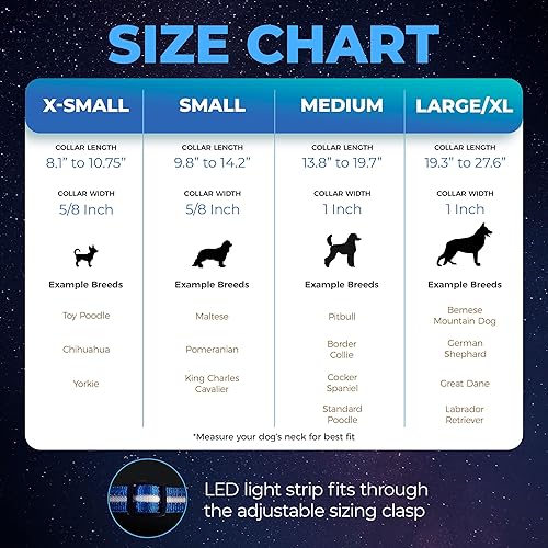 Miniatura 5 de Blazin - Collar led de seguridad para perros, recargable mediante USB y con luz intermitente resistente al agua, talla M, color negro