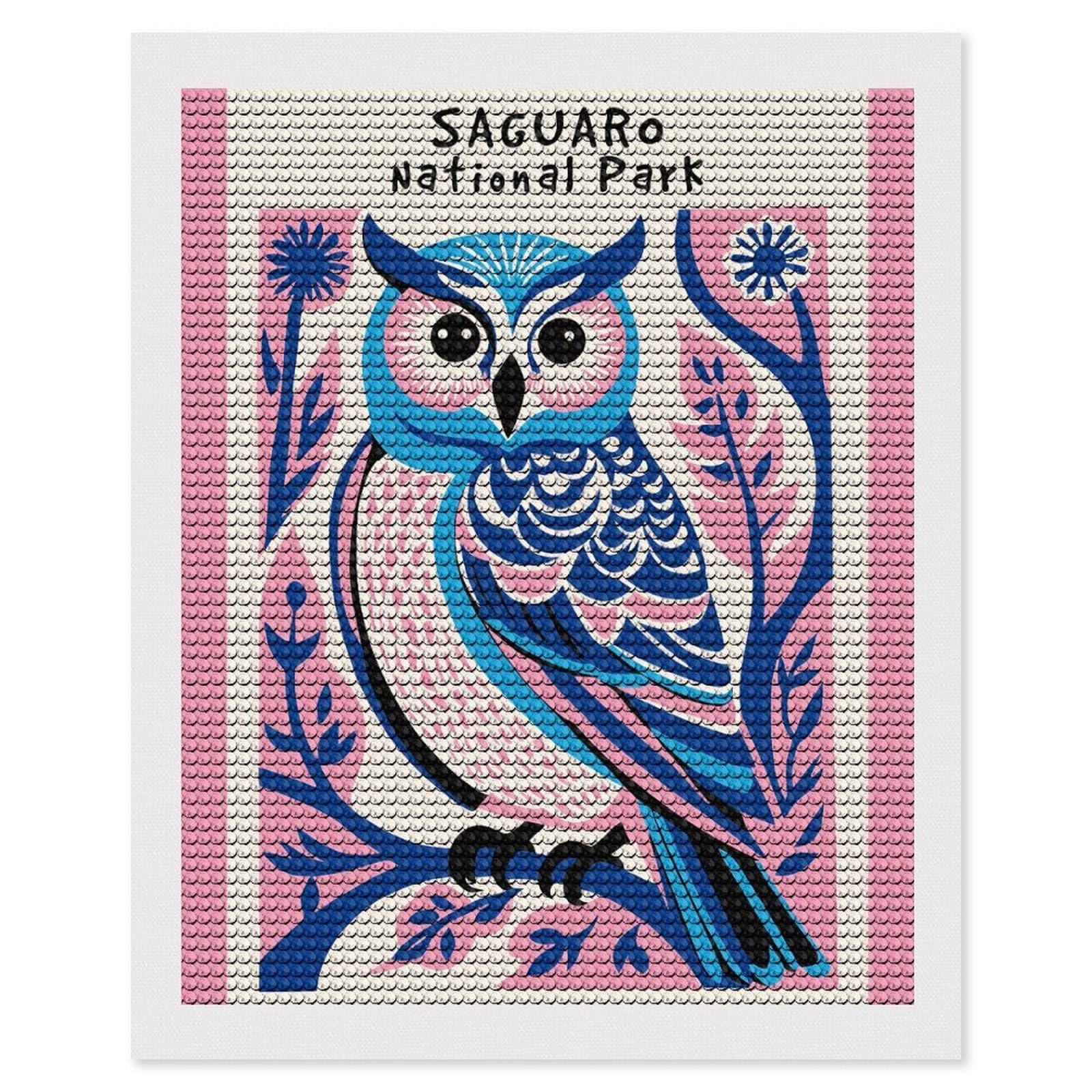 Junmoney Cute National Park Owl Diamond Painting Canvas Set 16"x20", Satisfying Creative Project, Easy to Follow Symbols, Fun Craft Experience