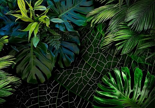 Miniatura 3 de Bormia - Papel tapiz de pared verde Monstera con hojas de plátano, hojas de plátano, sin costuras, calcomanías de pared para sala de estar,