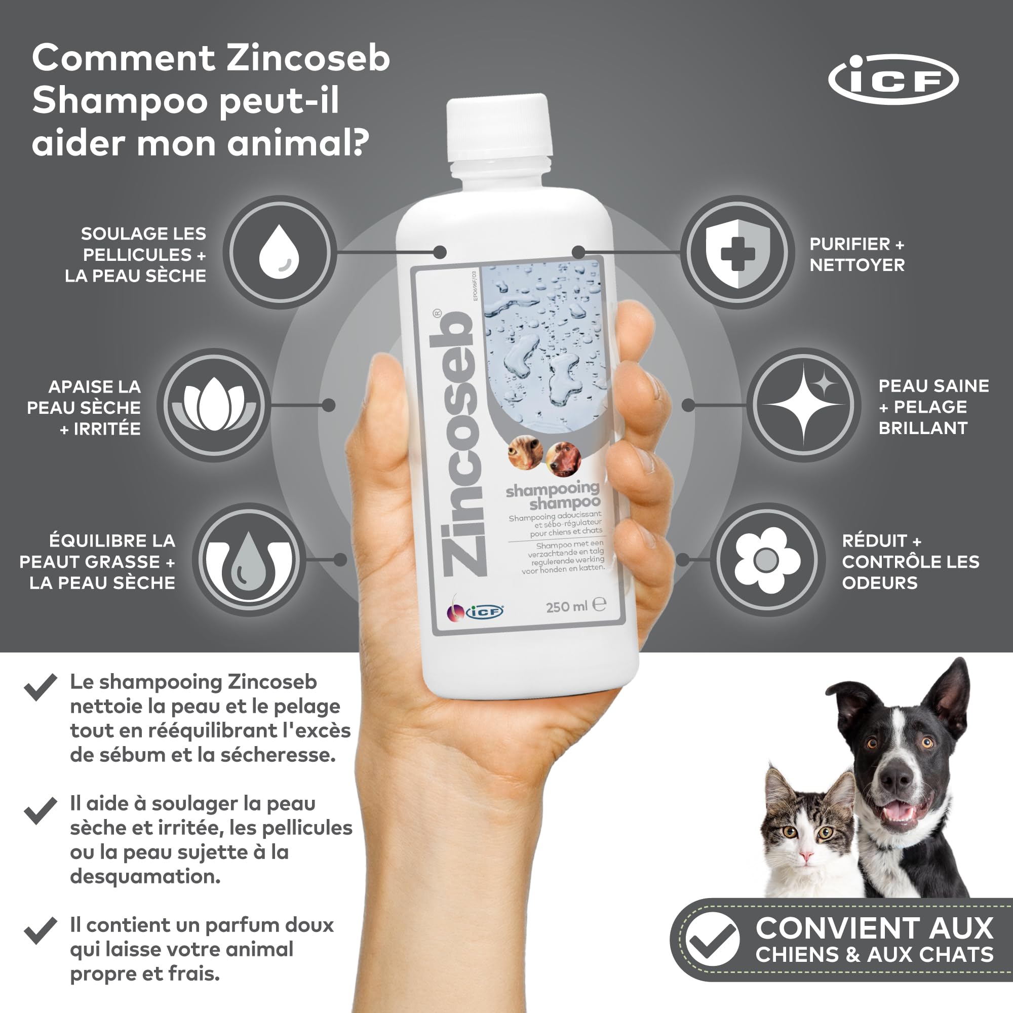 Zincoseb Shampooing | Shampoing Sébo-Régulateur et Hydratant pour Chien et Chat | Poil Sec, Terne ou Gras, Pellicules, Mauvaises Odeurs | Idéal pour la Peau Sensible du Chiot et Chaton | 250 ML