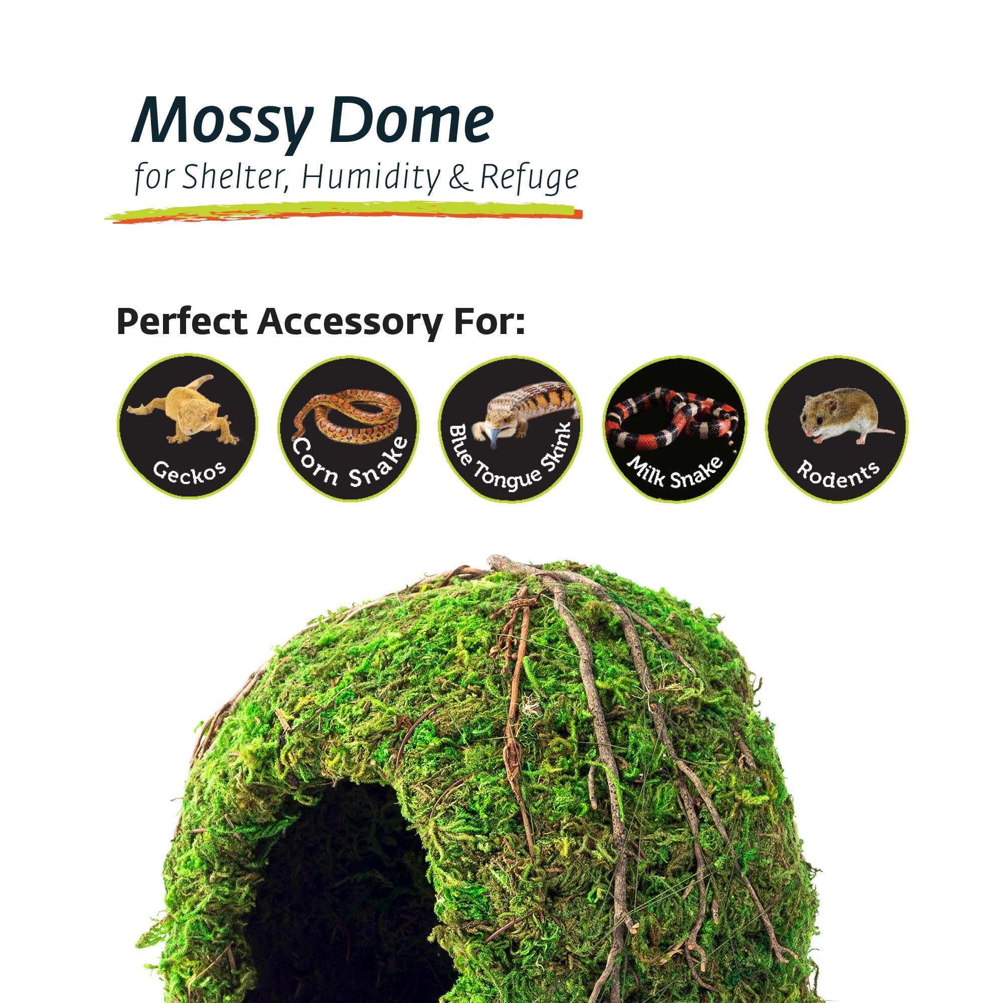 Galapagos (05366 Mossy Dome Hide, 6 in, Gal&aacute;pagos Green - image 5