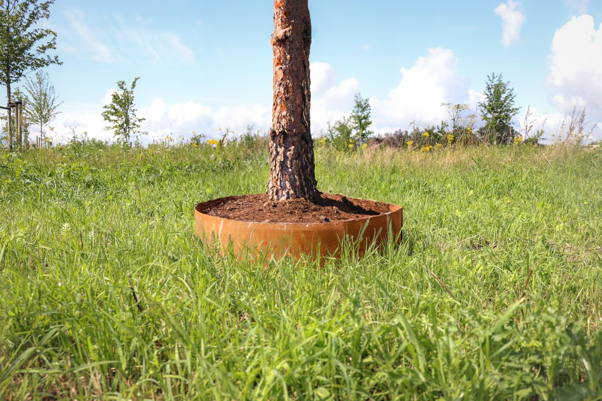 Wovar Alcorque de acero corten Ø 100 cm - Por unidad