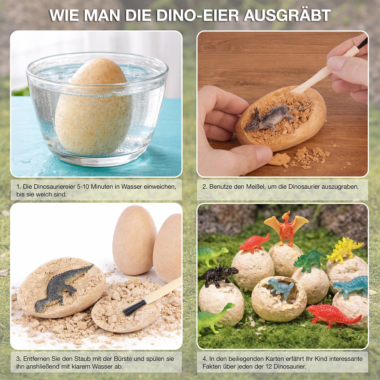Dino-Freilegungsset: 4er-Set Dinosaurier-Ausgrabungssets, je 12 Eier, Werkzeug, ab 6 Jahren (Dinosaurier Ausgrabungsspiele, Dino-Ei-Ausgrabungsset)