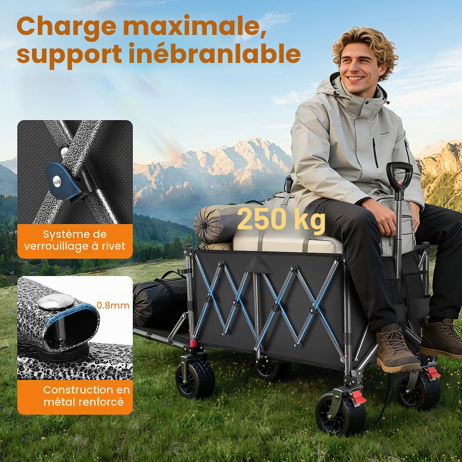 YEAUPE PRO Chariot Pliable 260L 250KG, Roues Larges Tout-Terrain 17cm, Noir