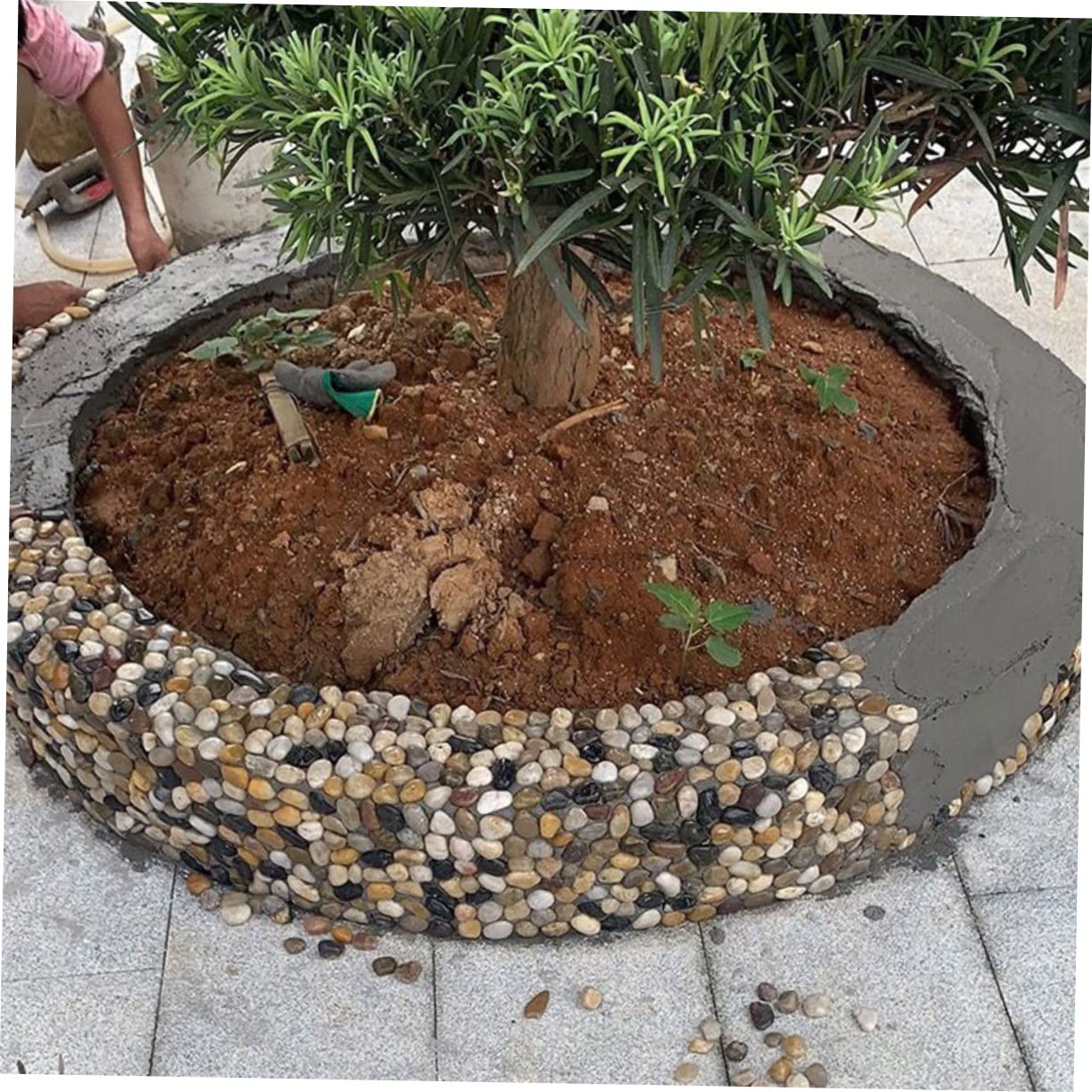 FOMIYES 3 Paquetes Piedras Mixtas Naturales Pulidas Plantas Naturales Interior De Rio Mexicana Terrario Plantas Piedras Pequeñas Rocas De Jardín Suculentas Cactus Exterior Guijarro