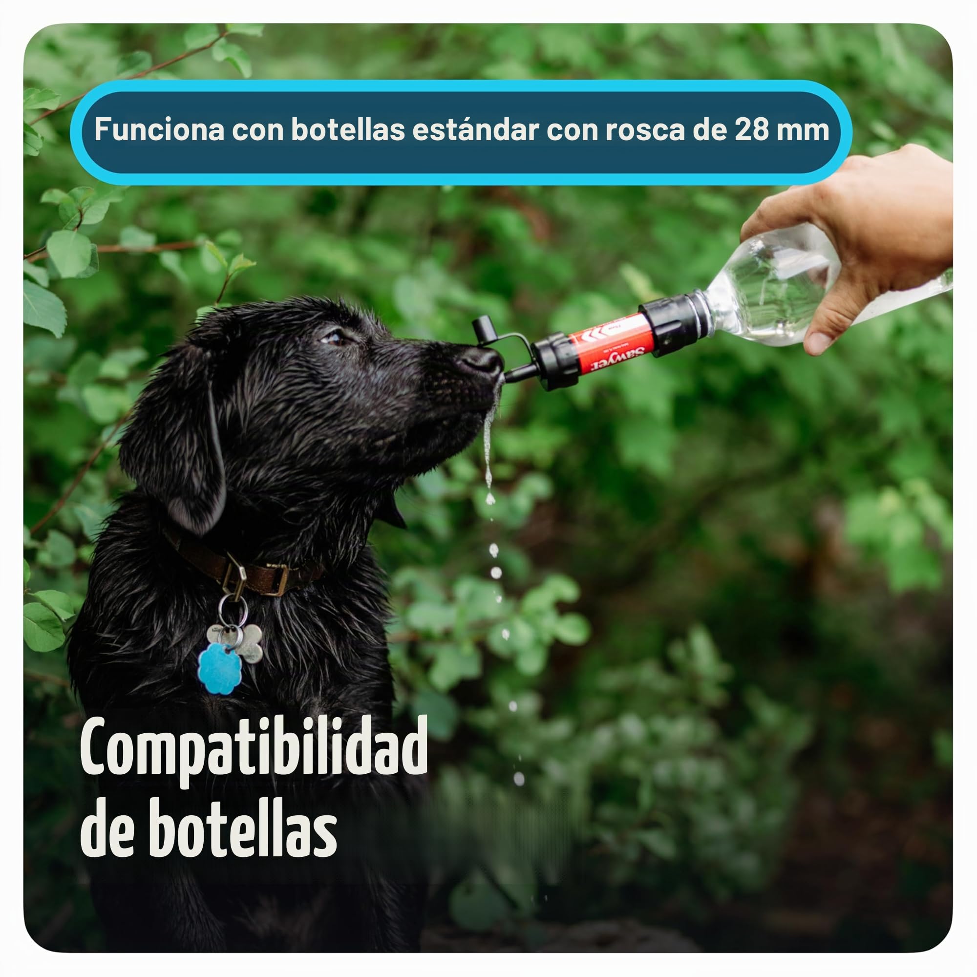 Sistema de Filtro Sawyer Products Mini portátil