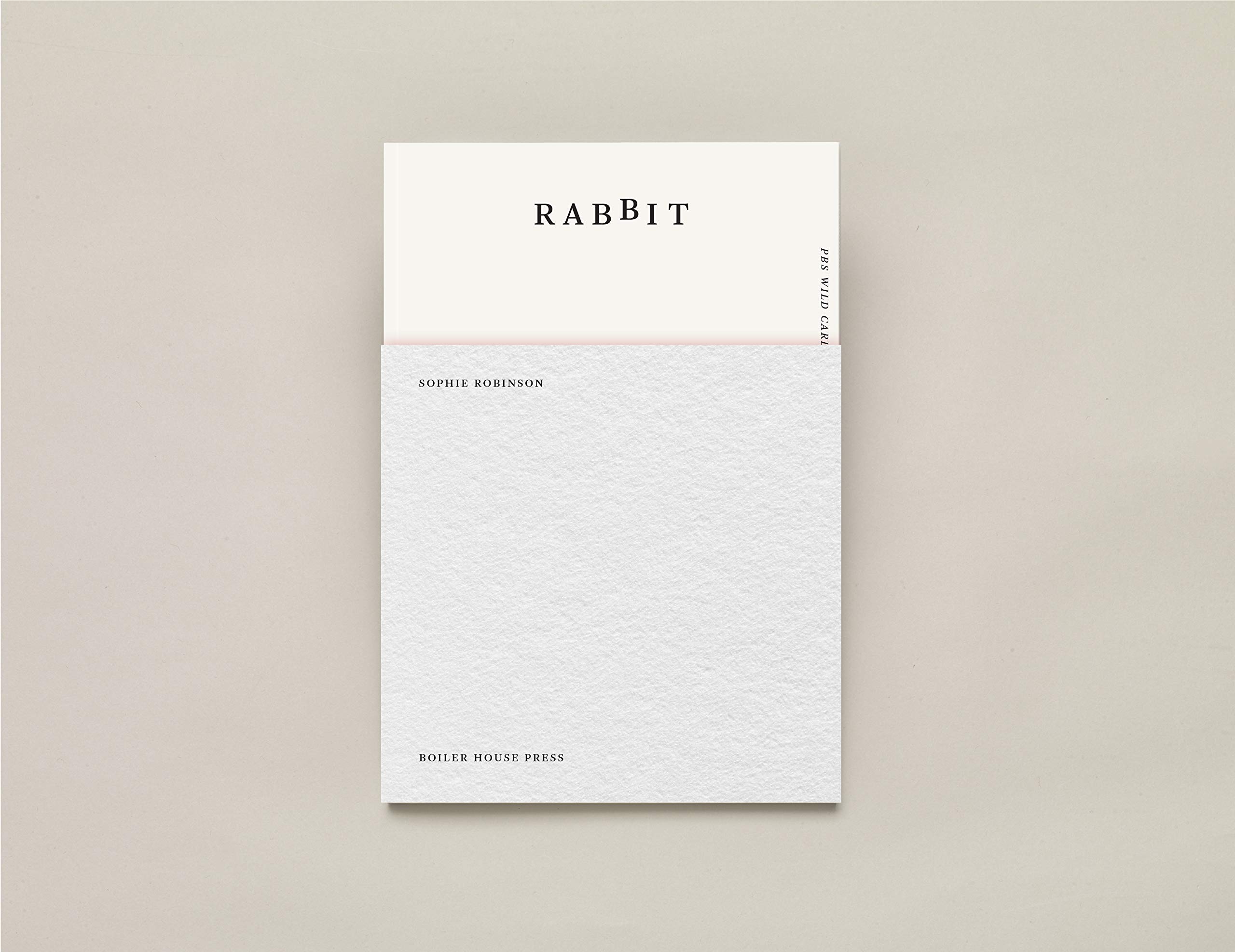 Rabbit by Sophie Robinson PAPERBACK 9781911343455