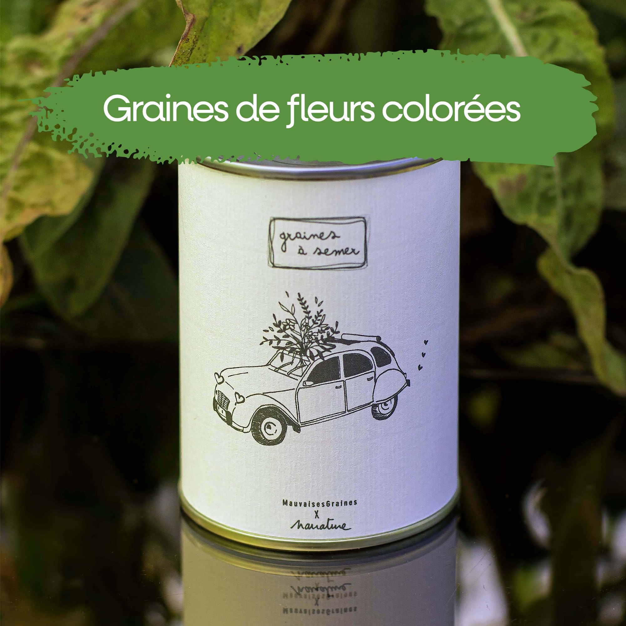 Mauvaises Graines - Kit De Plantes À Semer En Boîte - Cadeau Prof - 3