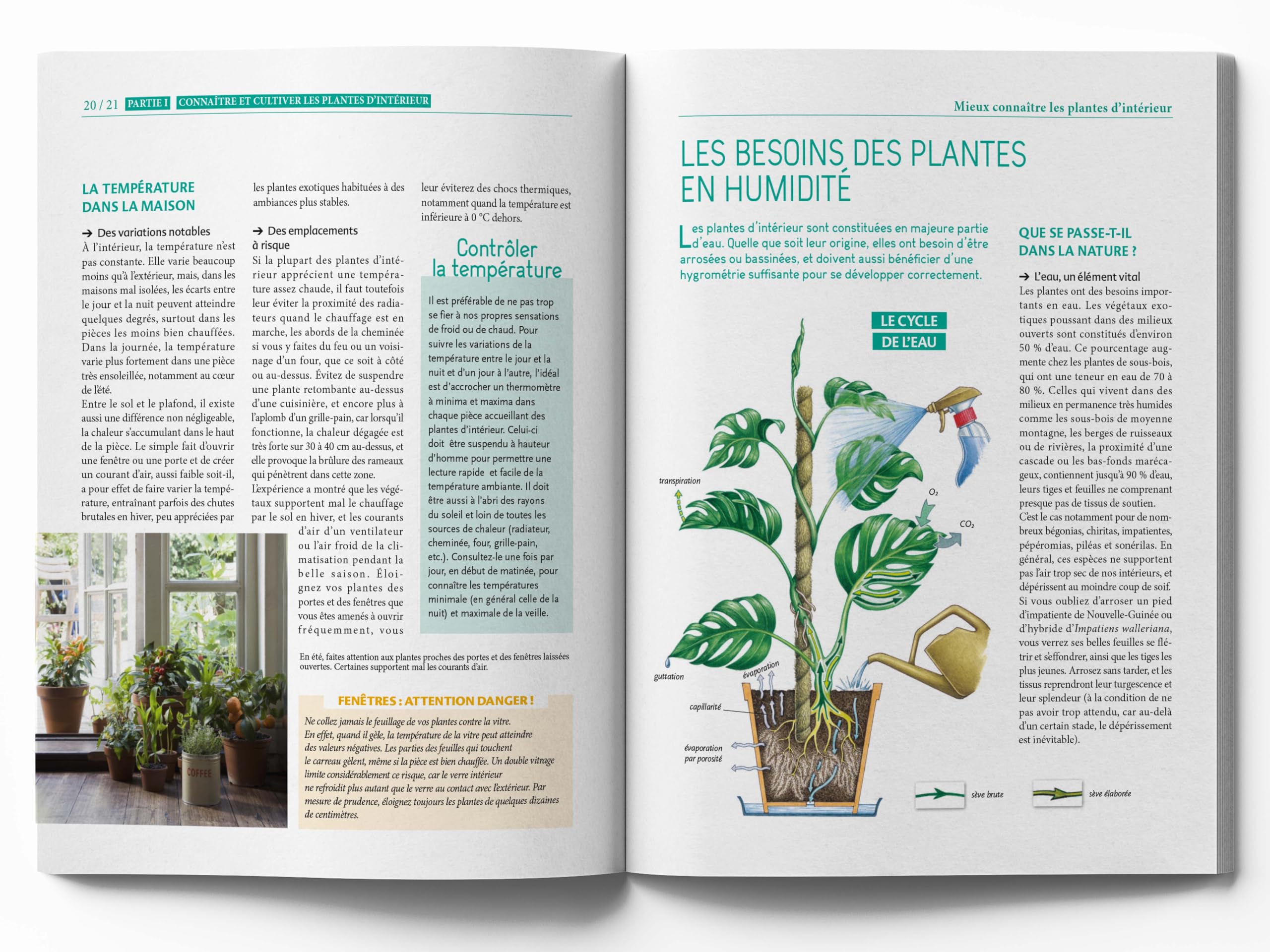 Le Traité Rustica des plantes d'intérieur