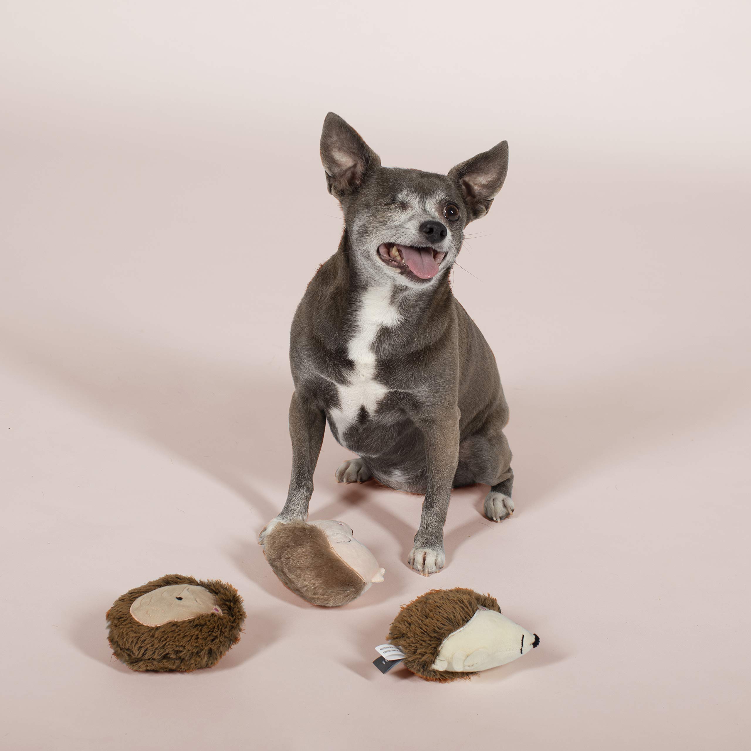 Fringe Studio - Juguete para Mascotas, Juego de Juguetes para Perros pequeños, erizos, 3 Piezas (289408)