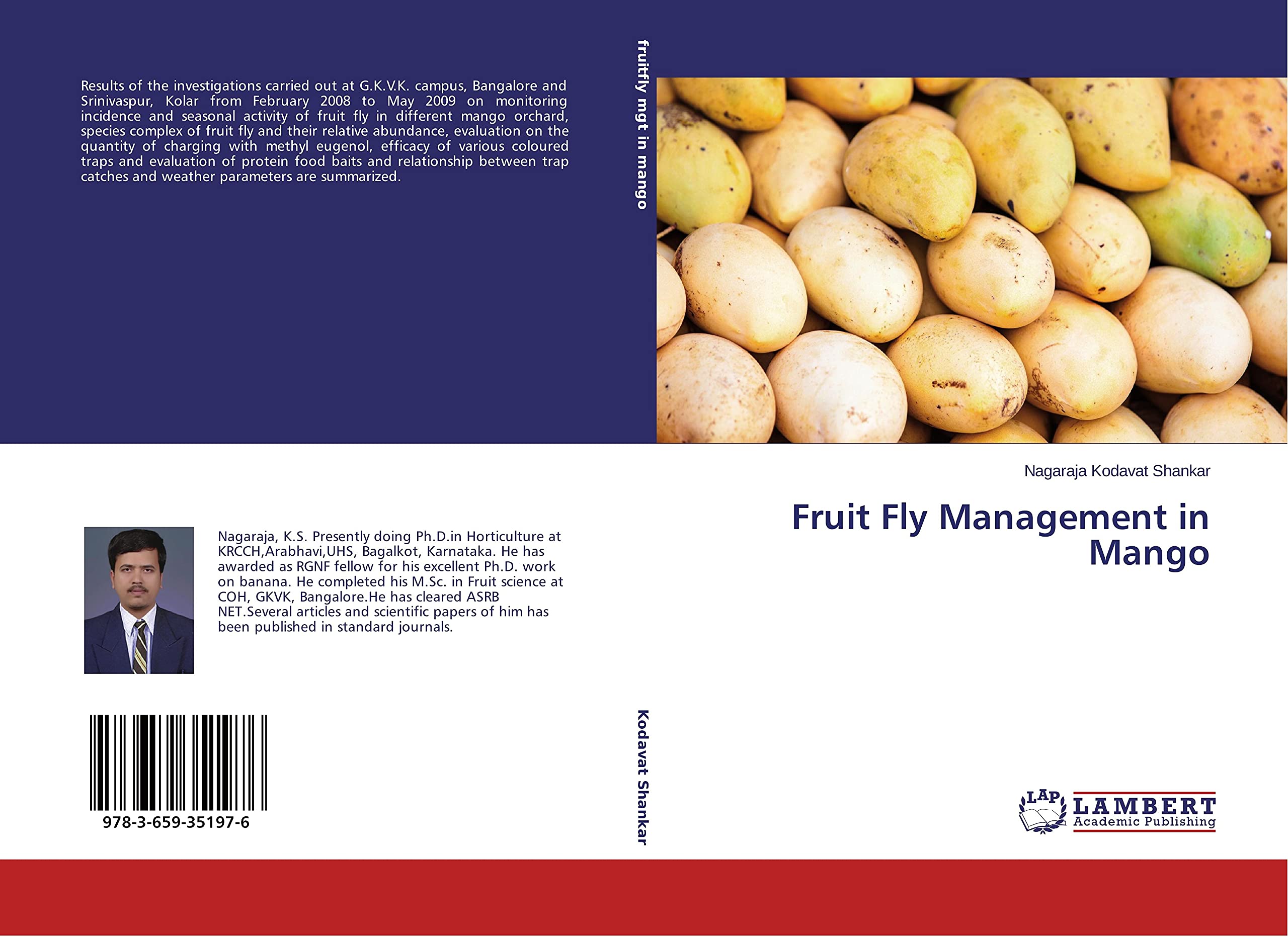 Fruit Fly Management in Mango